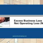 Excess Business Loss and Net Operating Loss 2023